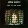 Chris Squire - Fish Out Of Water